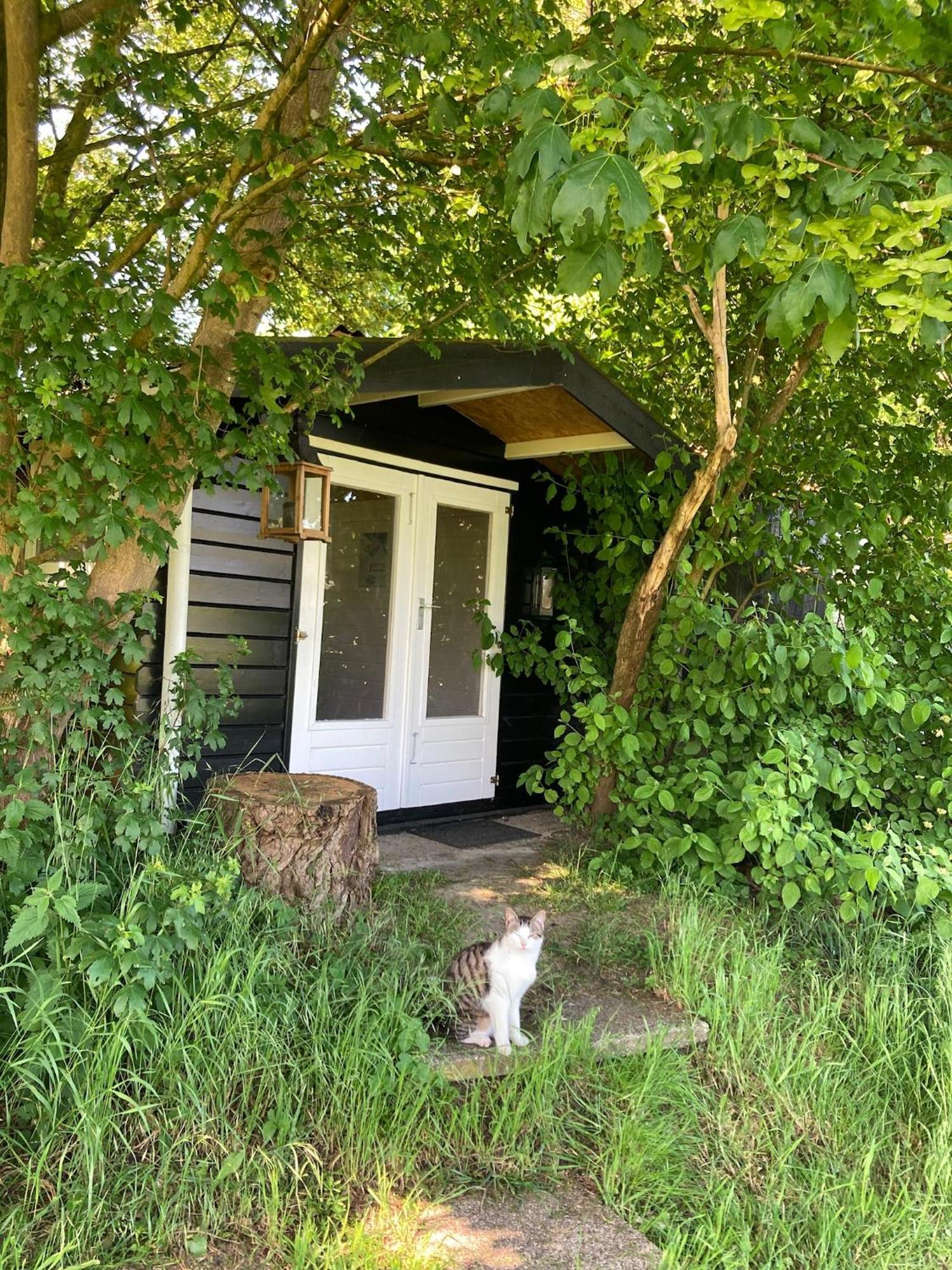 Hoeve De Snippert Bed & Breakfast Groenlo